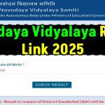 Navodaya Vidyalaya Result 2025: NVS Class 6 & 9 Results Coming Soon—Here is the Result Link