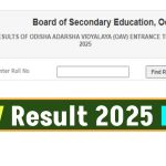 OAV Result 2025 Link BSE Odisha OAVET and OMAVET Test Score Card @ www.indiaresults.com