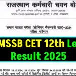 RSMSSB CET 12th Level Result 2025: Download score card from this direct link