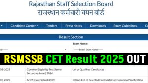 RSMSSB CET Result 2025: Rajasthan CET 12th exam results released, download like this