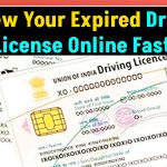 Driving License Renewal: How to Quickly Renew Your DL Online After Expiry