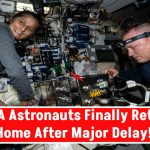 NASA Astronauts Finally Return Home After Major Delay—Could Their Extended Stay Impact Their Health?