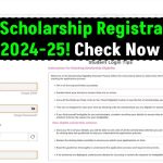 NSP Scholarship Registration 2024-25: Get Up to ₹75,000 Under National Scholarship